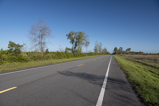 Photo taken along the Florida-Georgia border where Baker and Ware counties meet (Okefenokee National Wildlife Refuge and John M. Bethea state forest vicinity). Nikon D750 with Nikon 24-70mm f2.8 ED VR zoom lens