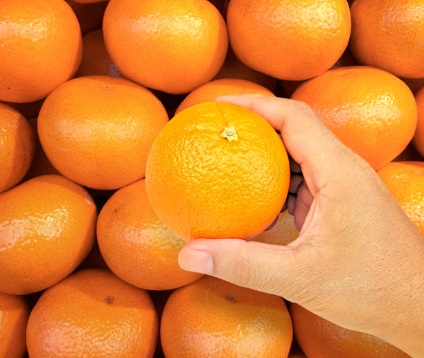 istock hand holding orange fruit on background orange fruit 1401523987