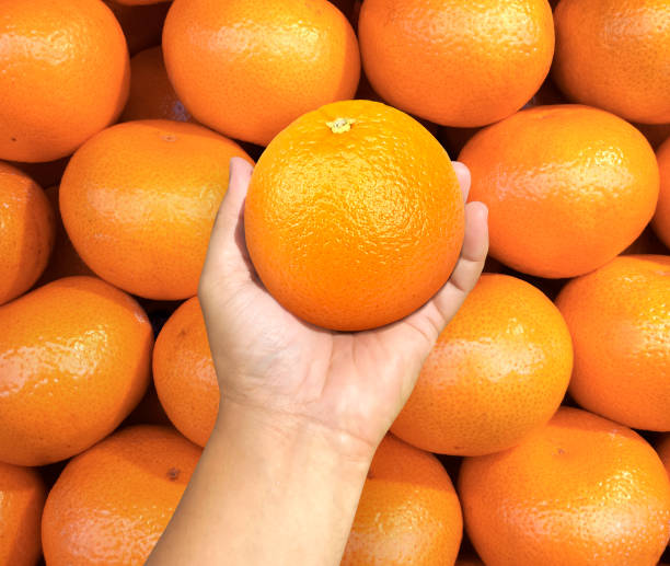 istock hand holding orange fruit on background orange fruit 1401523995