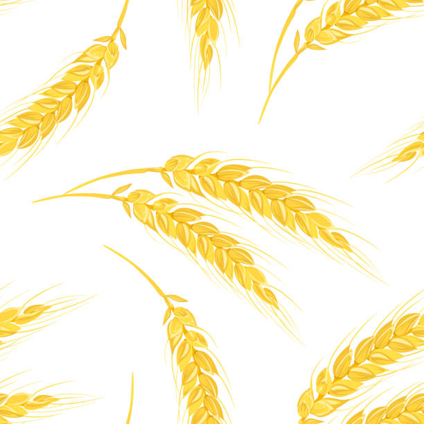 золотые колосья пшеницы бесшовный рисунок. предыстория с сельскохозяйственным ра�стением. векторная иллюстрация в мультяшном плоском стил - плёнка stock illustrations