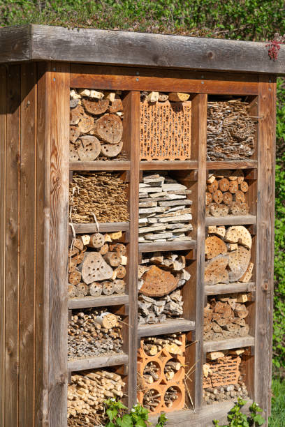 istock Large insect hotel providing habitat for  cavity nesting bees, wasps and bugs. Insect hotel offers various hiding places as cavities, cracks, gaps, fissures or old wood 1401530924