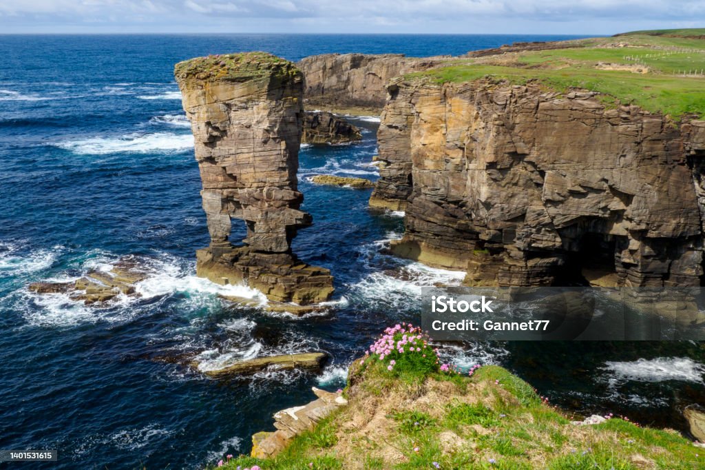 Sea Stack at Yesnaby Cliffs, Orkney The "Castle" sea stack at Yesnaby Cliffs on Mainland Orkney, Scotland Orkney Islands Stock Photo