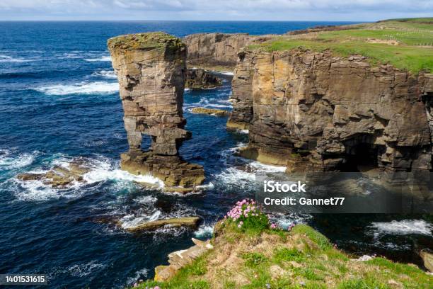Sea Stack At Yesnaby Cliffs Orkney Stock Photo - Download Image Now - Orkney Islands, Stack Rock, Cliff