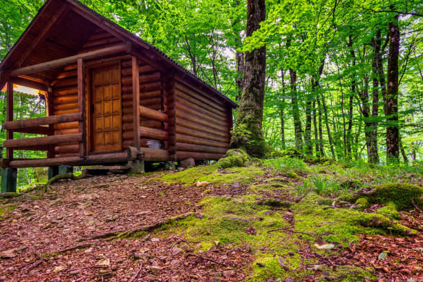 istock Wooden forest house 1401532897