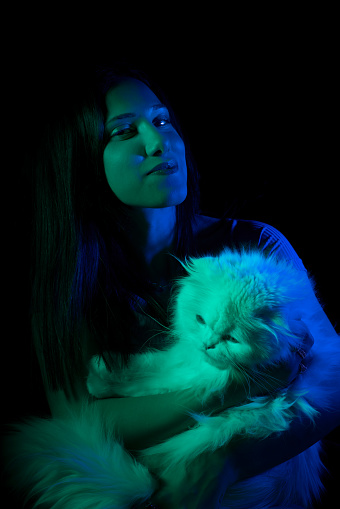 Woman with green and dark blue gel lighting. - Young Woman with Long Hair Scottish Fold Cat