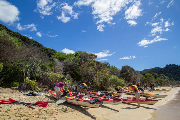 Kayaking in Abel Tasman National Park in New Zealand Abel Tasman, New Zealand - March 8, 2015: People preparing kayaks on a beach in Abel Tasman National Park on the South Island. abel tasman national park stock pictures, royalty-free photos & images