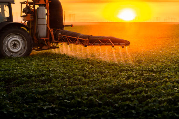 istock Tractor spraying soybean crops field 1401534924