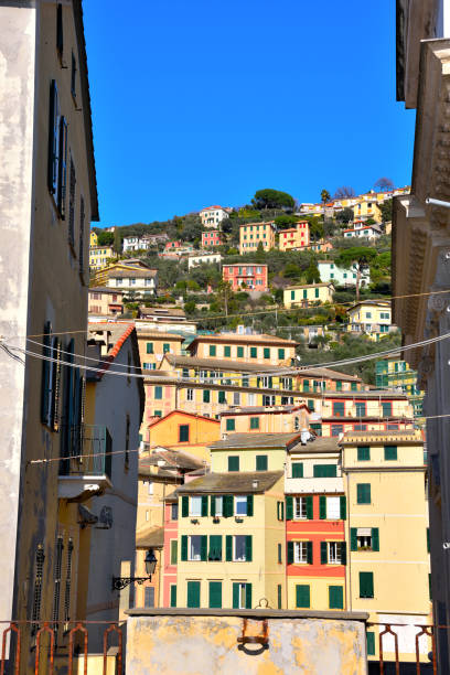 istock camogli liguria italy 1401534989