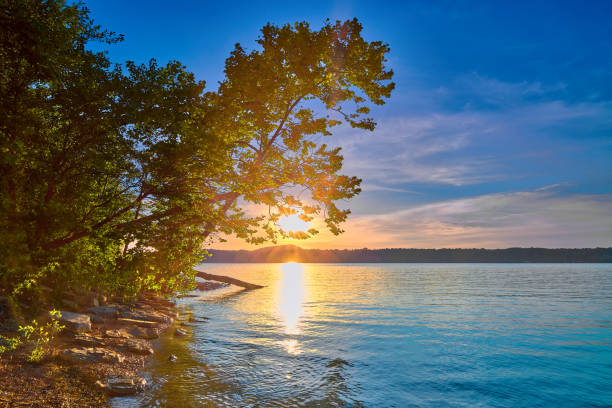 Leaning tree along the shoreline of Cave Run Lake, KY with setting sun.
