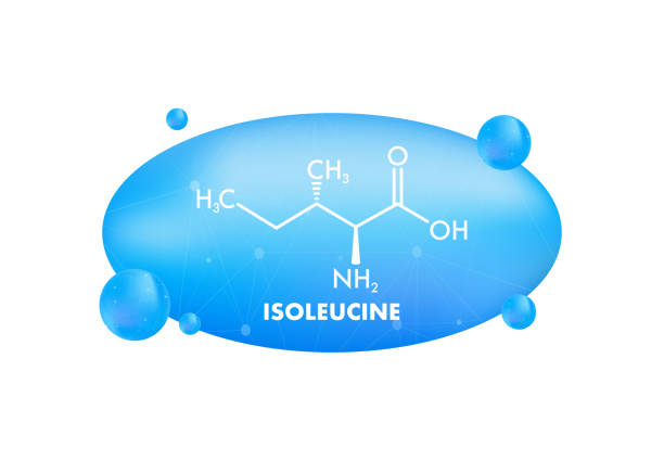 ilustrações, clipart, desenhos animados e ícones de isoleucina aminoácido. fórmula molecular química. ilustração vetorial. - 18630