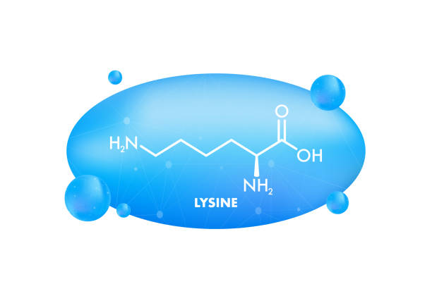 ilustrações, clipart, desenhos animados e ícones de fórmula de lysine, ótimo design para qualquer propósito. fórmula esquelética simples aminoácido essencial. - 18638