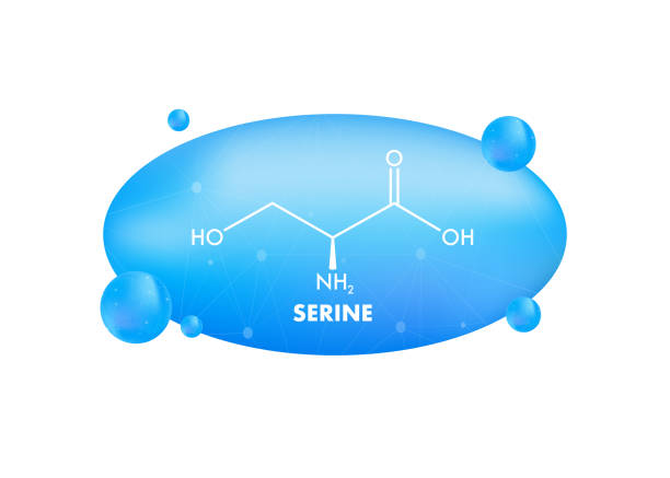 formuła seryny. seryna lub l-seryna, ser, s, cząsteczka aminokwasu. - s stock illustrations