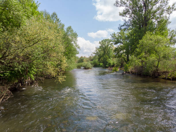istock Beautiful River In A Wild Nature 1401537334