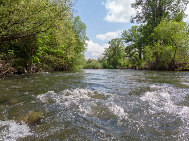 istock Beautiful River In A Wild Nature 1401537360