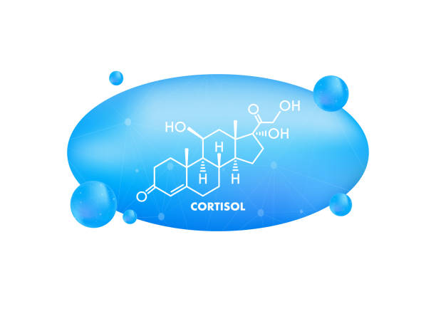 스트레스 호르몬, 코티솔 화학 공식. 의료 디자인 아이콘입니다. 벡터 일러스트 레이 션 - 18602 stock illustrations