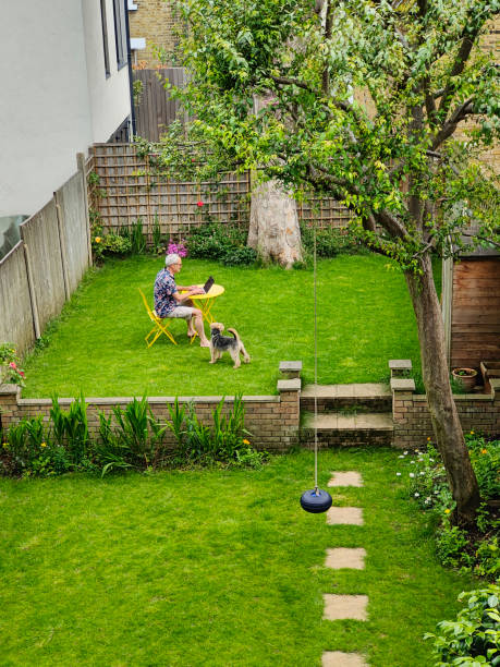 istock Digital native homeworking in his garden on laptop 1401541790