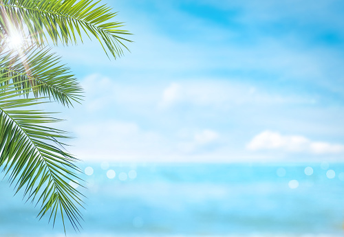 Summer vacation or holiday background. Tropical beach, blue sea, sun and palm leaves. Copy space.