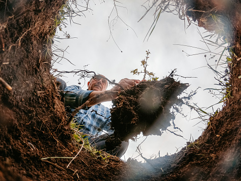 Senior man planting a tree in a ground hole. View from the hole.