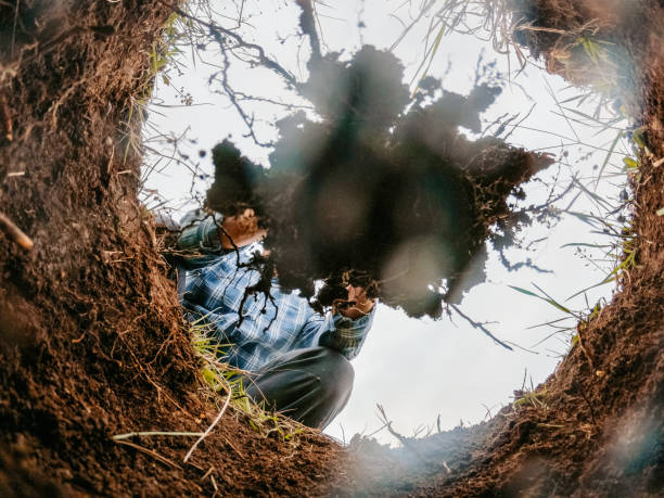 istock Senior Man Planting A Tree In A Ground Hole 1401544007