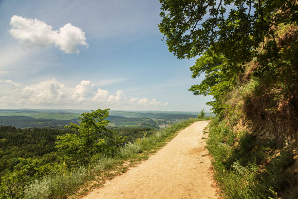 istock Mountain road in a beautiful green summer park 1401546931