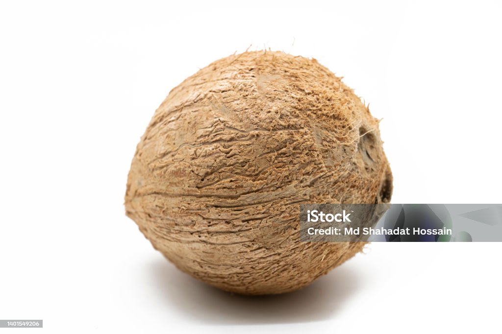 Single Coconut Isolated On White Background Stock Photo - Download ...