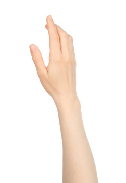 istock Woman hand shows virtual touching, on white background 1401551762