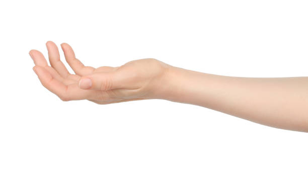 istock Woman hand shows virtual holding something, on white background 1401551785