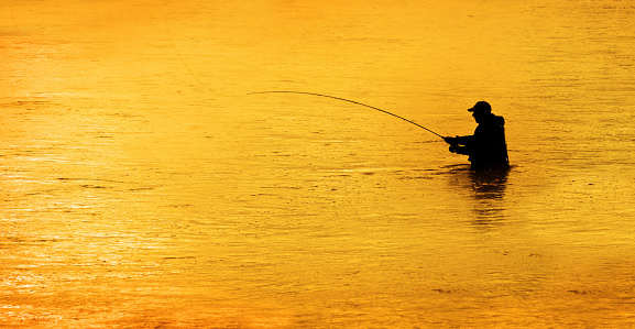 Silhouette of Man Flyfishing Fishing in River golden light of early morning with mist