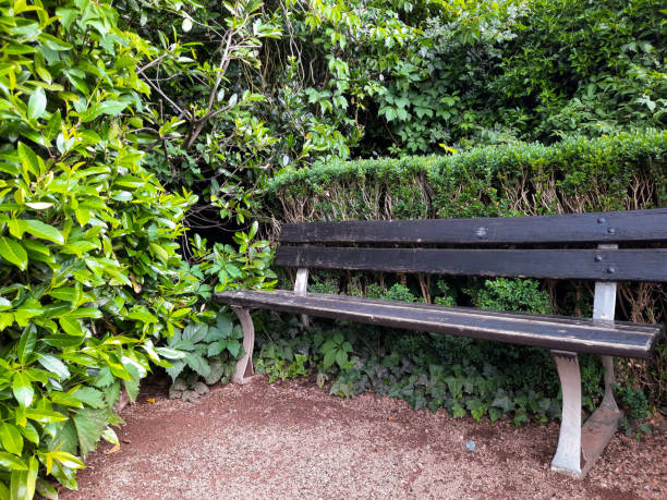 istock cozy bench for relaxing in a green park 1401553814