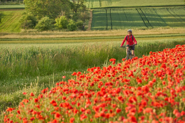 istock woman on electric bicycle  between blooming poppies 1401555766