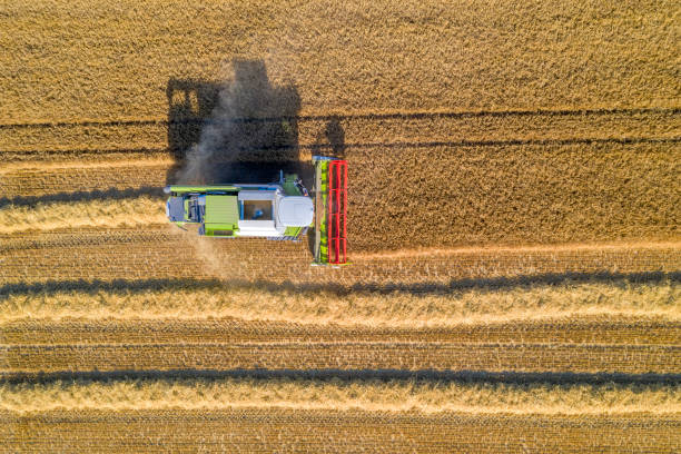 istock Combine Harvester in Field from Above 1401555799
