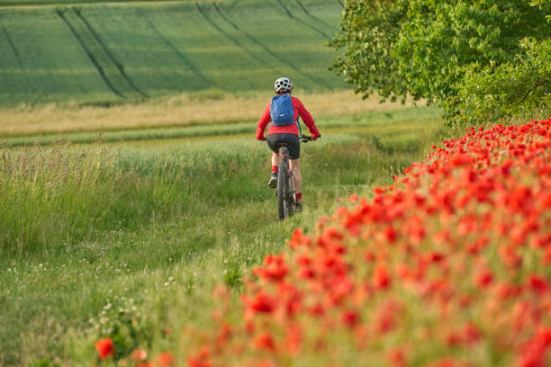 istock woman on electric bicycle  between blooming poppies 1401555851