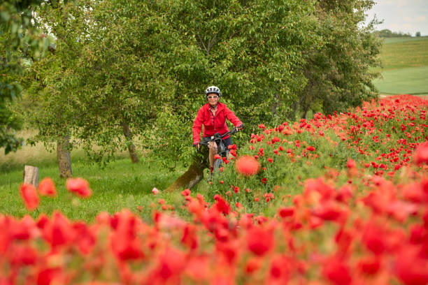 istock woman on electric bicycle  between blooming poppies 1401556404