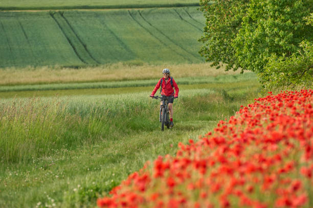istock woman on electric bicycle  between blooming poppies 1401556460