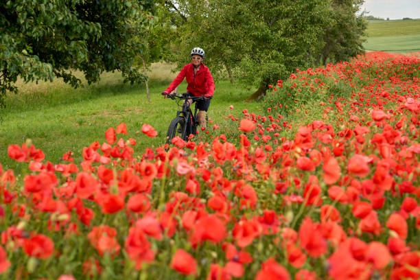 istock woman on electric bicycle  between blooming poppies 1401556819