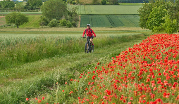 istock woman on electric bicycle  between blooming poppies 1401556903