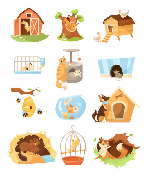 Wild And Domestic Animals With Homes Vector Illustrations Set Stock  Illustration - Download Image Now - iStock