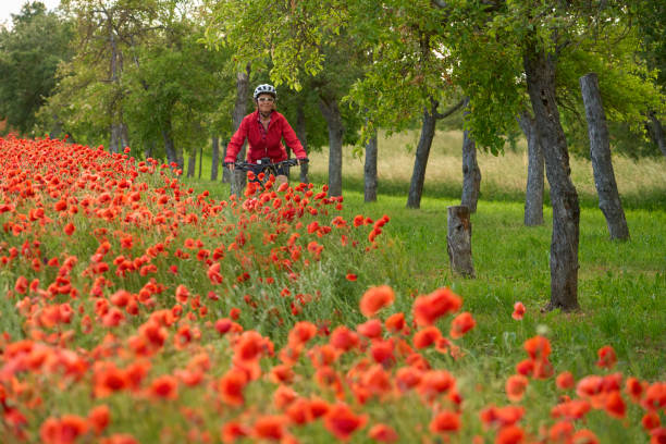 istock woman on electric bicycle  between blooming poppies 1401557595