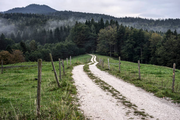 istock Dirt road to Mount Zinnkopf 1401565159