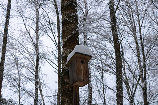 Wooden birdhouse on a tree in a winter snow forest