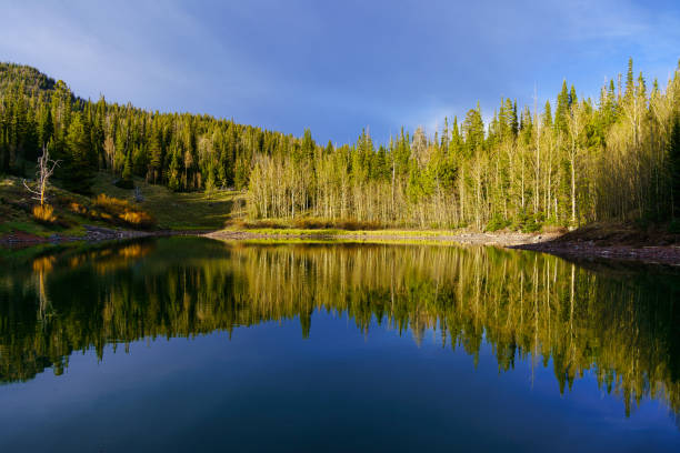 istock Aspen Trees Reflection in Mountain Lake 1401566866