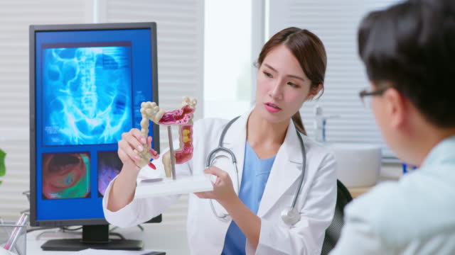 doctor explain colon model