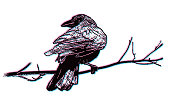 istock Stereoscopic illustration of a Crow perching on branch 1401570219