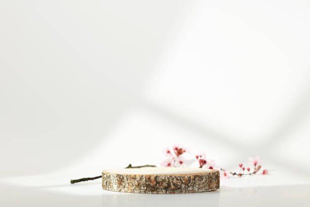 istock Minimal modern product display on white background. Wood slice podium and spring brunches 1401571668