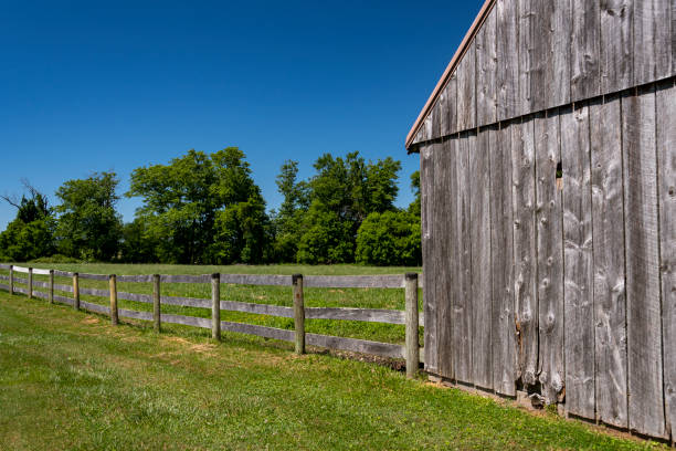 A partial view of a horse barn and fence enclosing a horse pasture with large maple trees in the background.