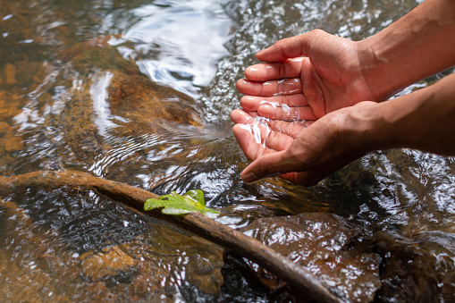 Manos que extraen agua fresca y pura del manantial. Deliciosa agua potable de las montañas en la naturaleza. photo