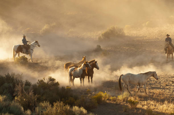 istock herd horses by horseback 1401573971