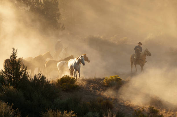 istock herd horses by horseback 1401574110