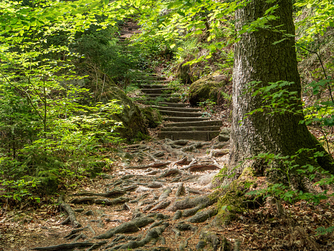 The Bielatal around the Herkulessäulen has perhaps the most photo motifs in the Elbe Sandstone Mountains to offer. Numerous rock towers rise up to the sky in a way that is worth seeing, and one wonders how nature was able to create these giants.