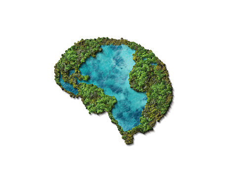 Think Green- human brain is covered with green trees. World environment day and nature conservation day background. Green mental health concept 3d background isolated on white background.